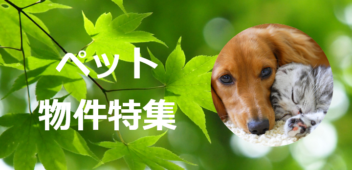 ペット物件特集